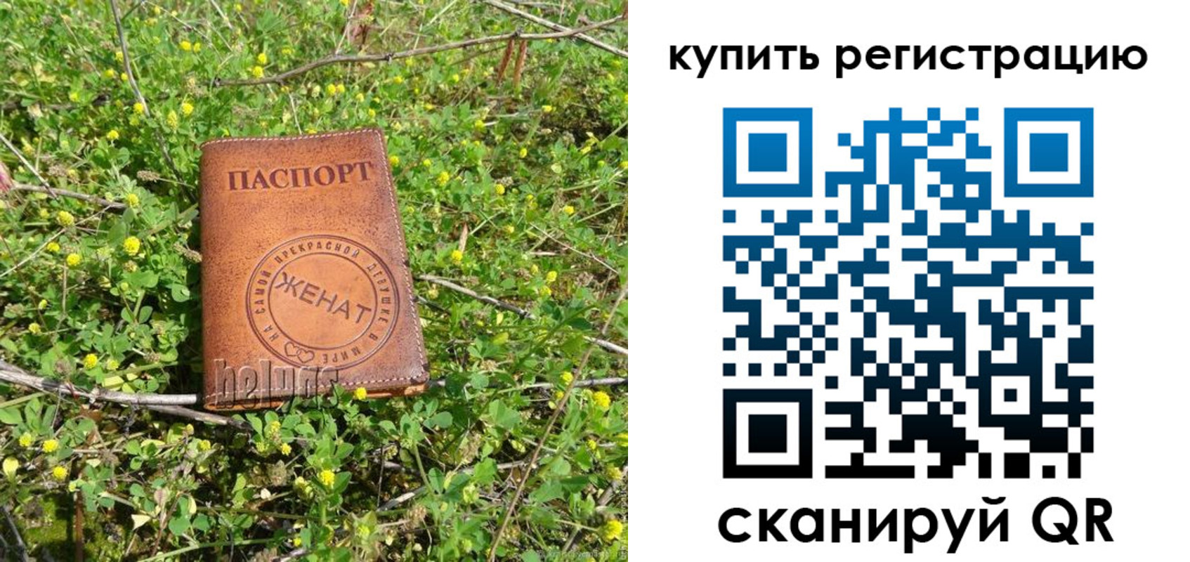 регистрация для дет. сада в Стародубе